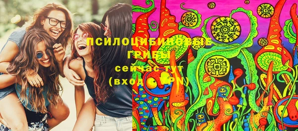 прущая мука Аркадак