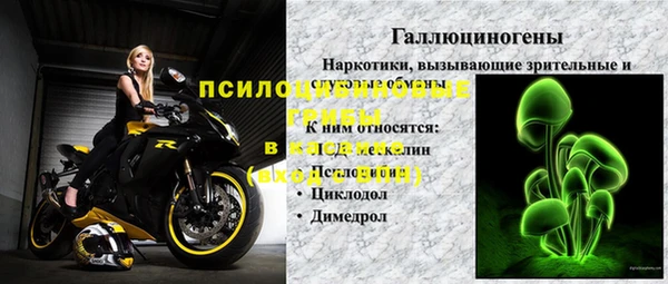мяу мяу кристалл Арсеньев